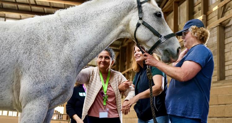 A senior pets a speckled white horse while the handlers assist
