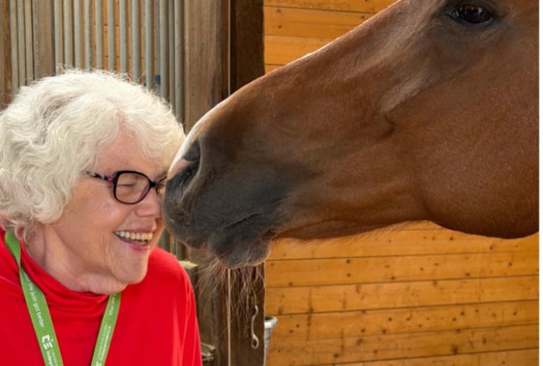 A brown horse interacts with an elderly woman