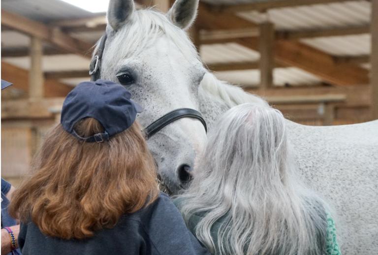 A speckled white horse stands behind two women