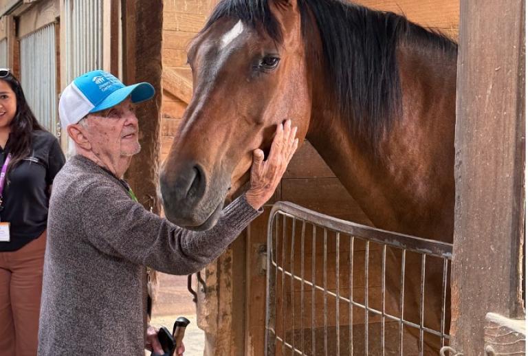 A senior pets a brown horse in it's stable 
