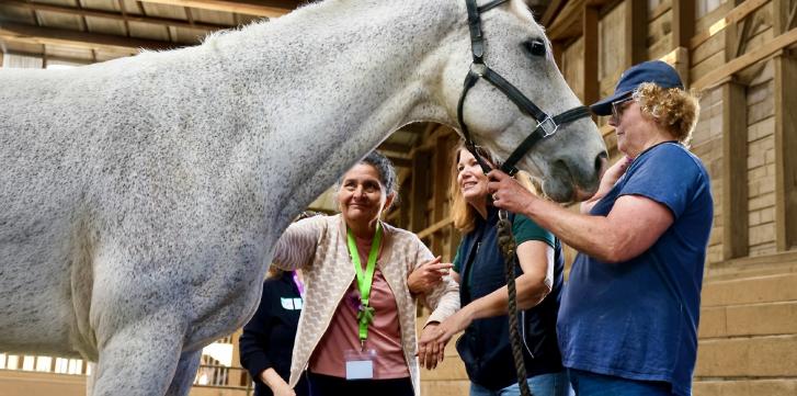 A senior pets a speckled white horse while the handlers assist